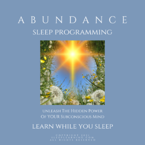 Abundance Sleep Programming